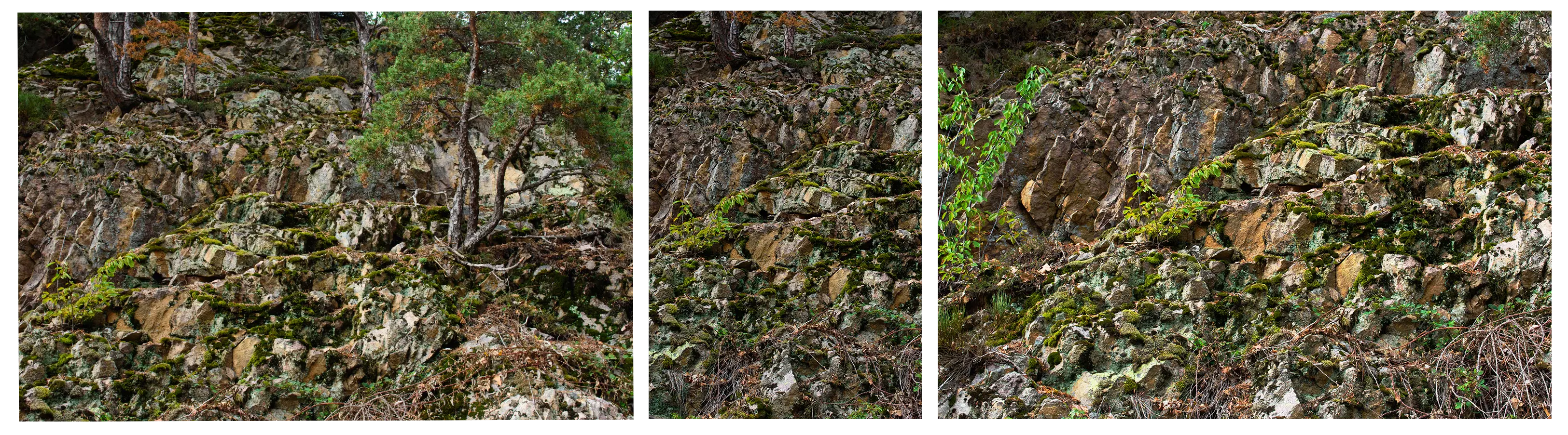 triptyques